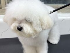 -桂满陇·蟹黄小笼汤包(环球港店)