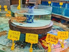 -怀德酒楼·粤菜·海鲜·茶点(宝安国际机场店)