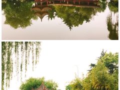 -黑色经典臭豆腐·湖南特产(步行街店)