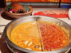 -小龙坎火锅(全球旗舰店)