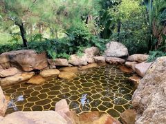-美的鹭湖森林度假区