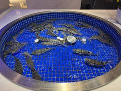-腾阁自助餐厅(朝林广场店)