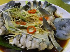 -煲来饱去冷水鱼