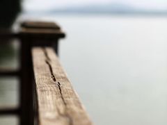观景台-鹤之洲湿地公园