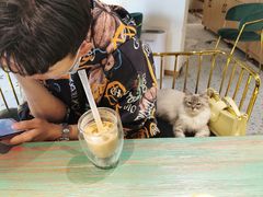 -喵喵咪呀布偶猫咖(春熙路店)