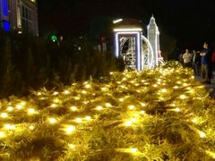 -广州花之恋城堡酒店