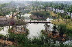 -水八仙生态园