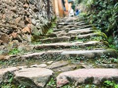 -杨家堂村