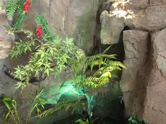 -富侨养生(光大会展店)