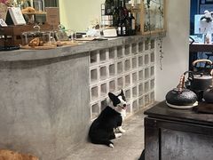 -自由生长植物工作室(深港花卉中心店)