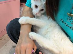 -FAELING PETS美天灵宠物(合生汇店)