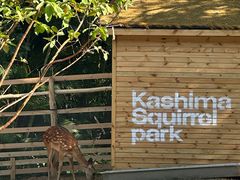 -佰园全日西餐厅-厦门佰翔软件园酒店