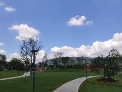 -光明小镇欢乐田园