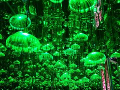 -杭州西湖星空魔幻城(星空艺术馆品牌旗舰店)