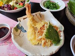 -黑松白鹿(金融街店)