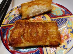 -老江南春·中国龙菜(衡山路店)