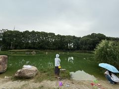 -美兰湖景区