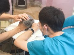 -联合动物医院(光谷诊疗中心)