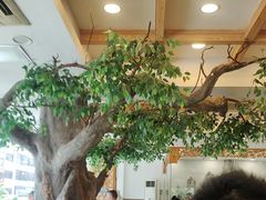 -今一靓汤.顺德菜东莞三十年老字号(厚街店)