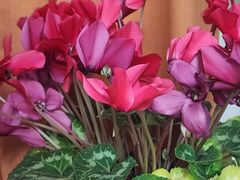 -深蓝盲人按摩中心(西北旺店)