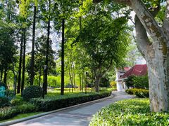 -徐家汇源景区-衡山公园