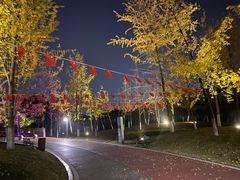 -府河摄影公园