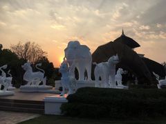 -清迈夜间动物园