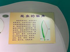 -上海昆虫博物馆