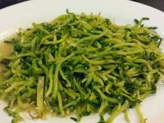 清炒豆苗-真浪大家乐海鲜餐馆