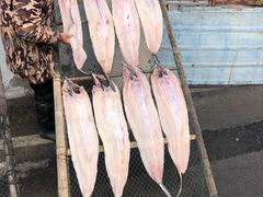 -芦潮港集贸市场