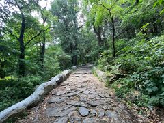 -阳台山自然风景区