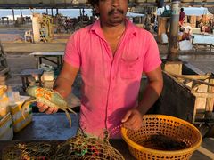 -尼甘布海鲜市场