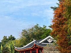 -顺峰山公园