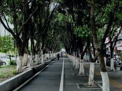 -天治宣·野椒鸡(龙头寺总店)