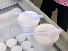 -洪馨椰子