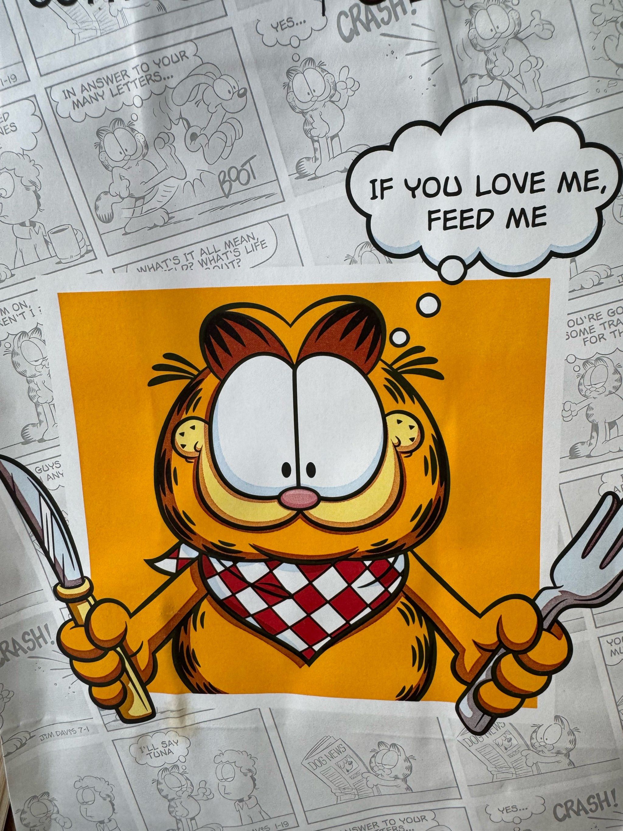 可爱的加菲猫