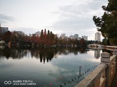 -翠府(翠湖北路店)