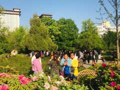 -迎泽公园