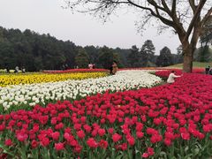 -保利石象湖景区