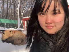 -宫城藏王狐狸村