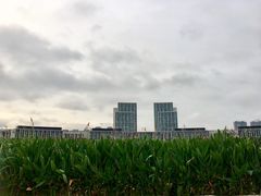 -尚贤河湿地