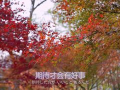 -云栖竹径