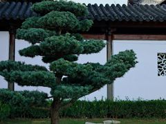 -锦溪古镇