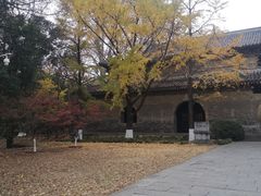 -灵谷景区