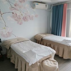 -L.MJ轻奢皮肤管理中心