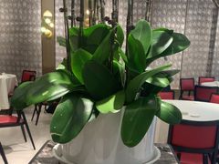 -富淳饭店(陆家嘴保利广场店)