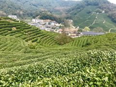 -国生茶庄·地道农家菜团建活动