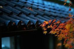 -伊芙世家美颜美养SPA