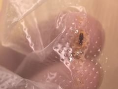 -江三王记牛杂馆(总店)
