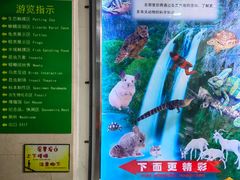 -上海大自然野生昆虫馆(东方明珠·爬宠昆虫探索中心)